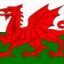 Welsh Trail Riding