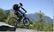 wheelie_drop3.jpg
