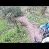 Paradise freeride mtb