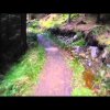 MTB - Kielder forest Deadwater black route part 1 Contour HD