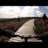 kielder lonesome pine trail (boneshaker) red route