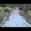 black at grizedale