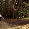 Stoughton Downhill Mountain Bike Trails