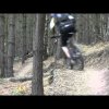 The Monkey Trail Cannock Chase