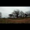 GoProHD - BMX |Brockwell Park BMX Edit - AirikeTV