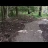 Clayton Vale Mountain bike track