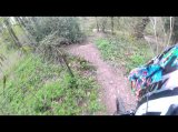 Paradise freeride mtb