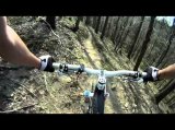 Wyre Forest ride