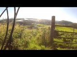 Margam Mountain, Port Talbot - Mountain bike decent.