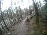 MTB Trail Riding