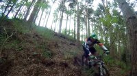 Delamere Forest 17-05-13